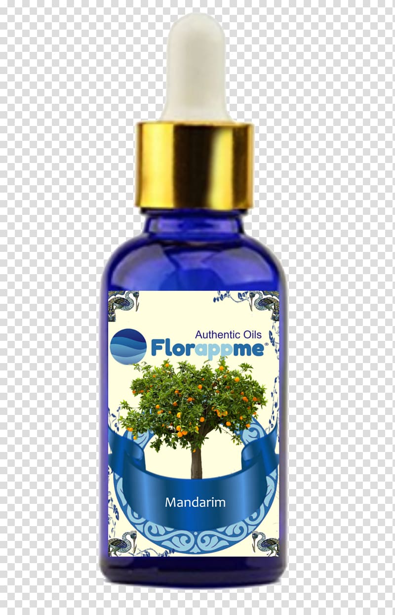 Essential oil Aroma Agathosma betulina Coriander Herb, cinnamon basil transparent background PNG clipart