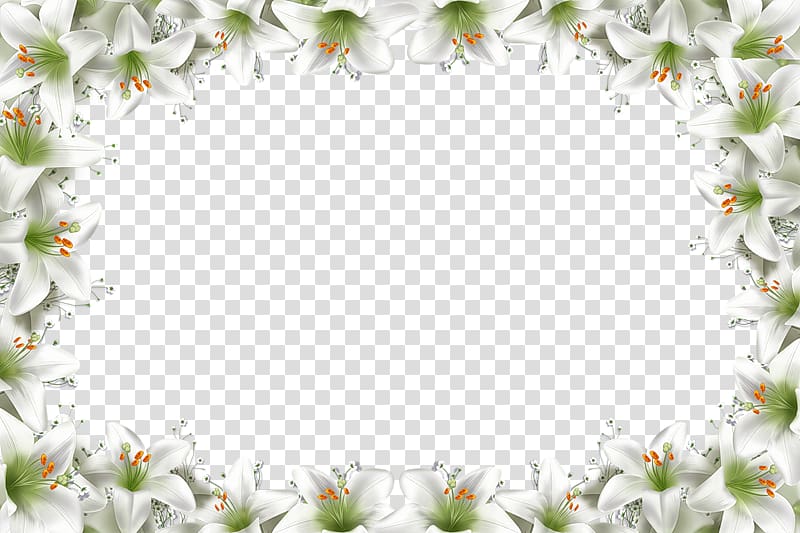 frame Animation Collage , Floral background transparent background PNG clipart