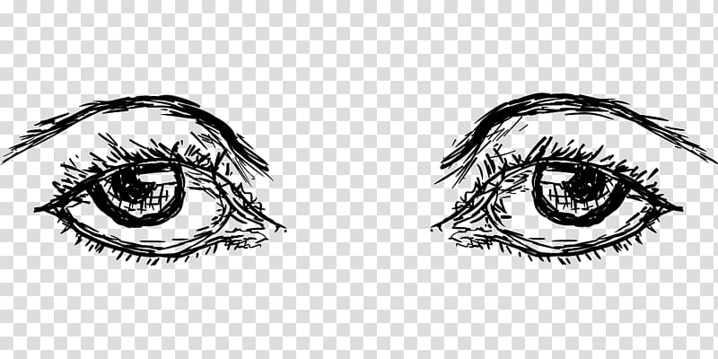 Eyebrow Human eye Drawing, Eye transparent background PNG clipart