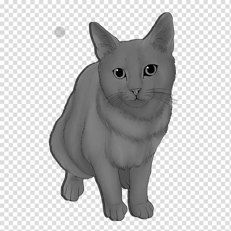Korat Chartreux Burmese cat Manx cat Nebelung, starburst transparent background PNG clipart