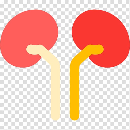 Kidney Organ, organs transparent background PNG clipart