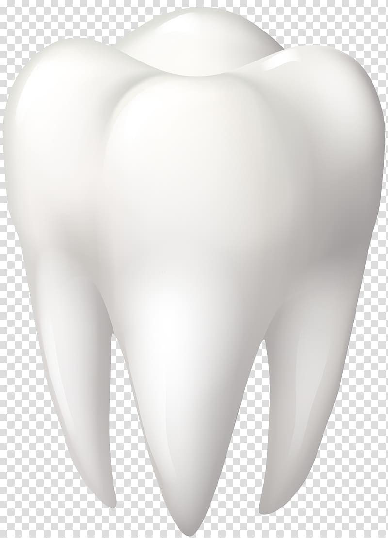 Tooth Oral hygiene Jaw Human body Shoulder, design transparent background PNG clipart
