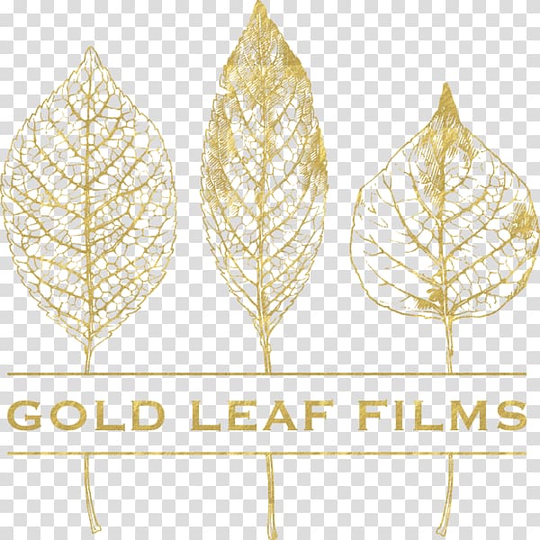 Gold Leaf Films , Gold leaf, gold leaf transparent background PNG clipart