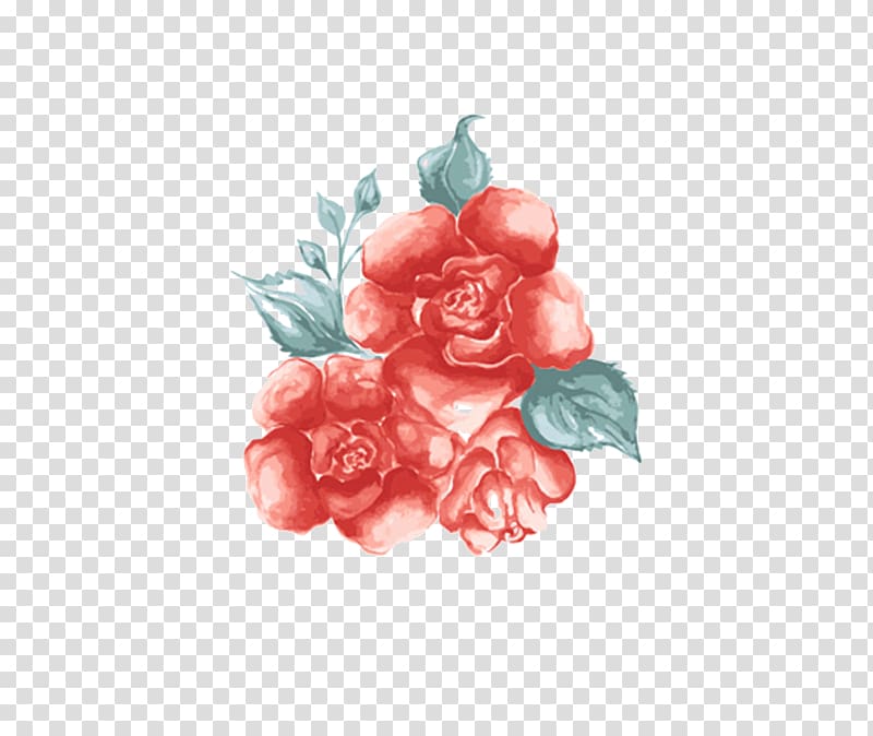 Flower Red Beach rose u30abu30fcu30c9, Rose illustration transparent background PNG clipart