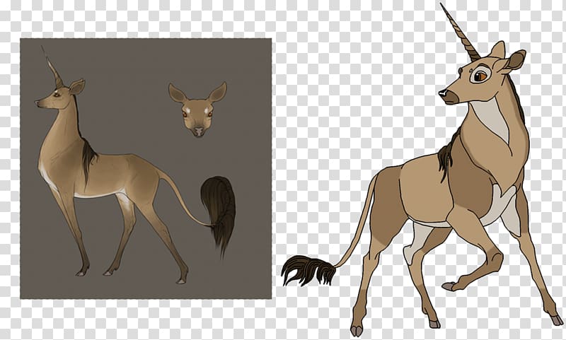 Impala Bambi Horse Deer Pack animal, horse transparent background PNG clipart