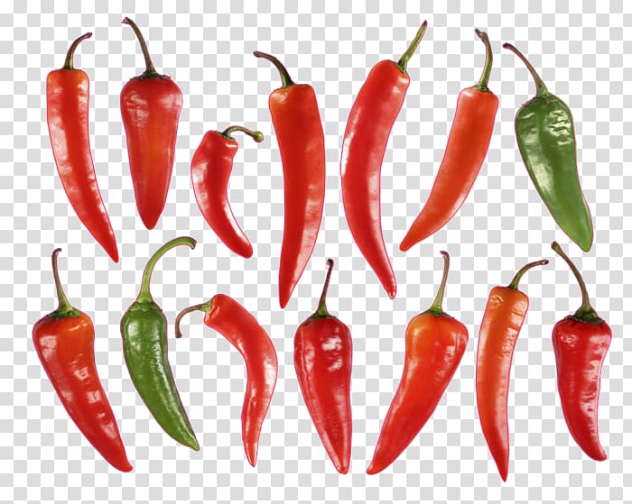 Habanero Piquillo pepper Serrano pepper Bird\'s eye chili Jalapeño, others transparent background PNG clipart