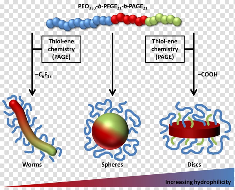 Copolymer Ether Terpolymer Field flow fractionation, Selfrighting Mechanism transparent background PNG clipart