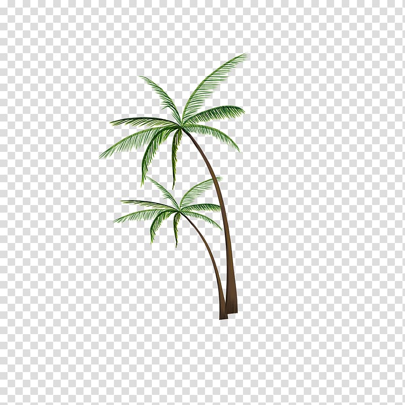 Coconut Tree , Coconut tree pattern transparent background PNG clipart