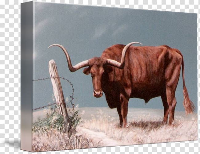 Texas Longhorn English Longhorn Calf Paper Printing, Longhorn transparent background PNG clipart