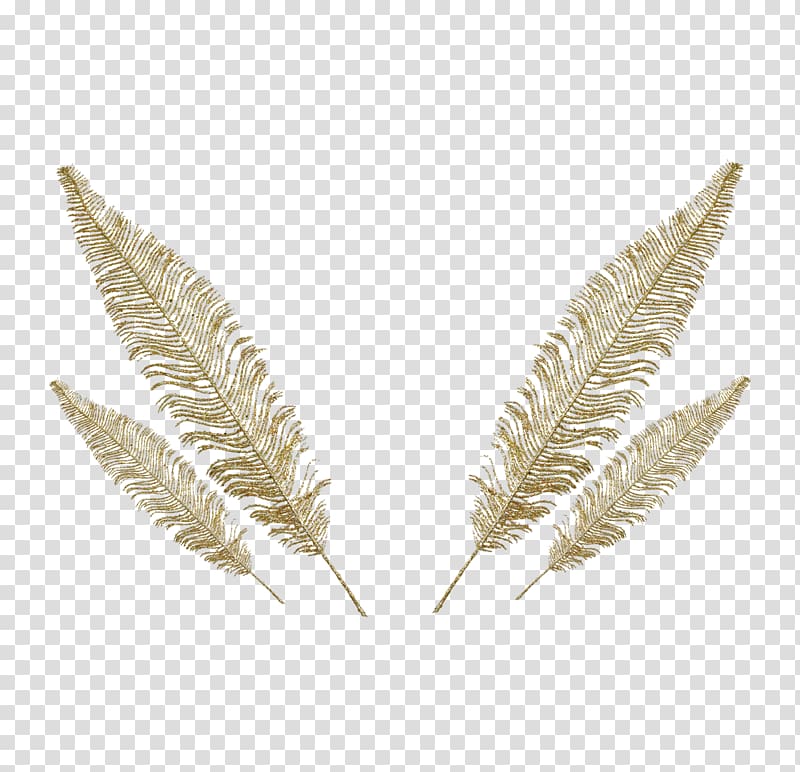 Feather Euclidean , Four feathers transparent background PNG clipart