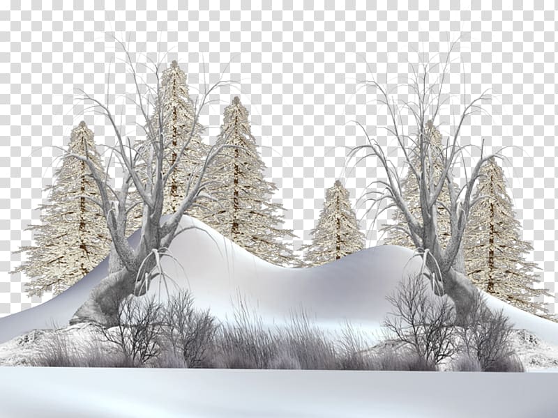 Desktop Winter Computer Branching Sky plc, winter transparent background PNG clipart