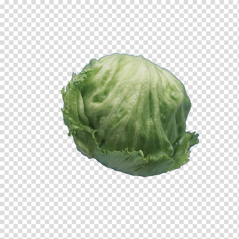 Vegetable Celtuce, Green cabbage round transparent background PNG clipart