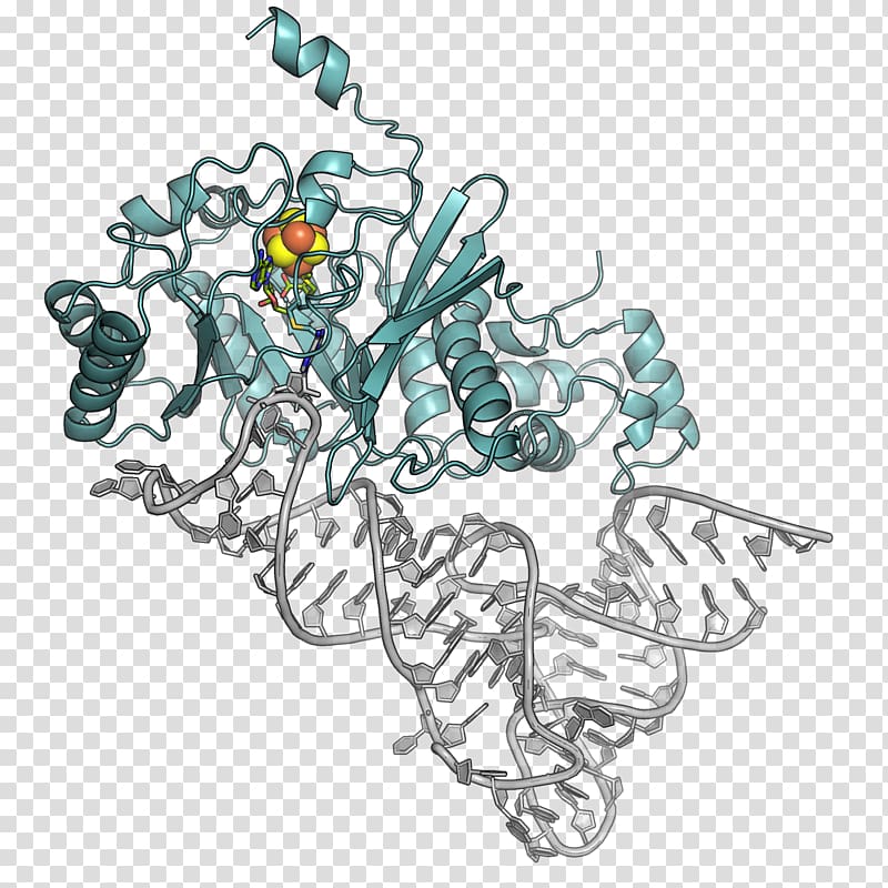 Protein Molecular biology Genetics RNA DNA, science transparent background PNG clipart