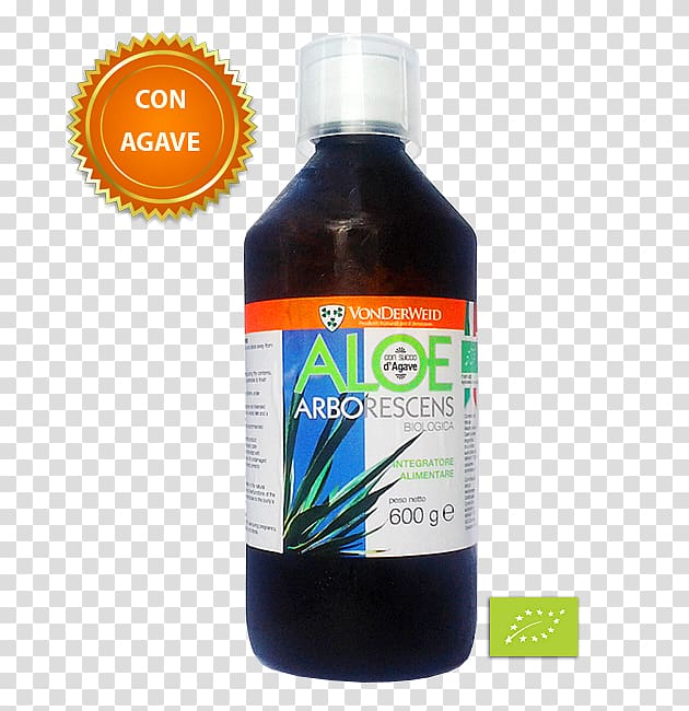 Dietary supplement Candelabra aloe Aloe vera Plants Succulent plant, plants transparent background PNG clipart