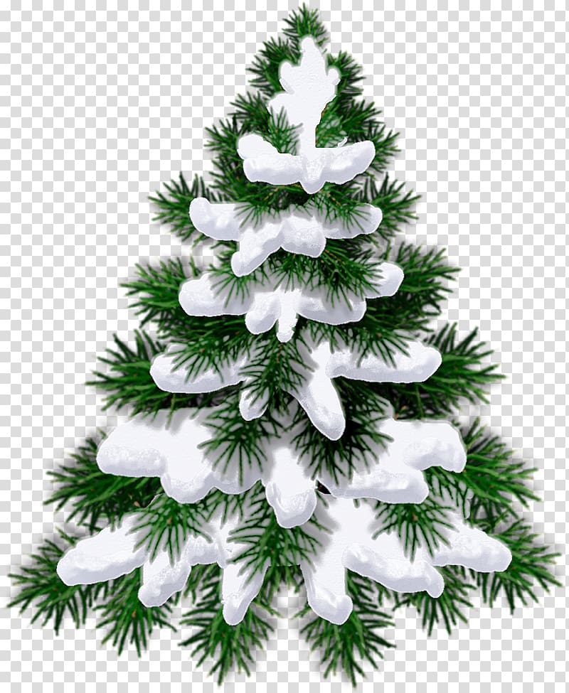 Child New Year tree The Forest Raised a Christmas Tree Quotation, christmas tree transparent background PNG clipart
