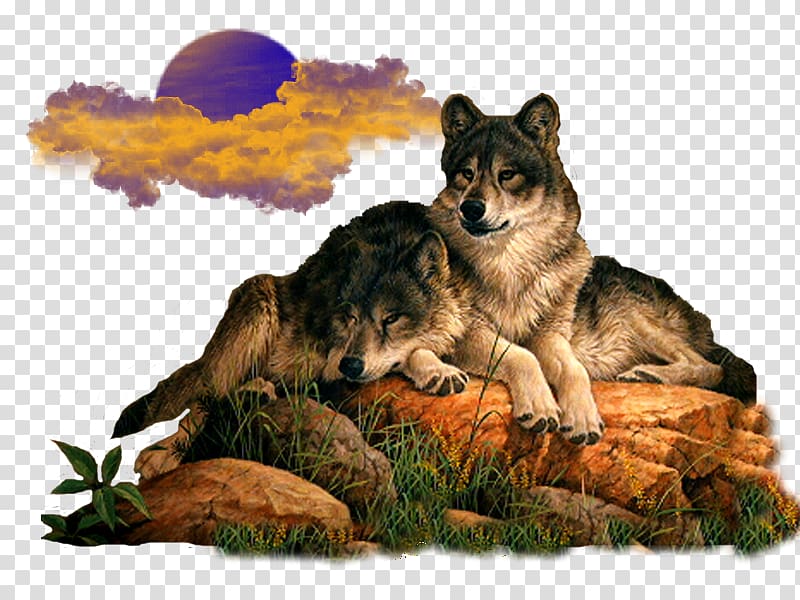 Gray wolf Animaatio Avatar, wolves transparent background PNG clipart