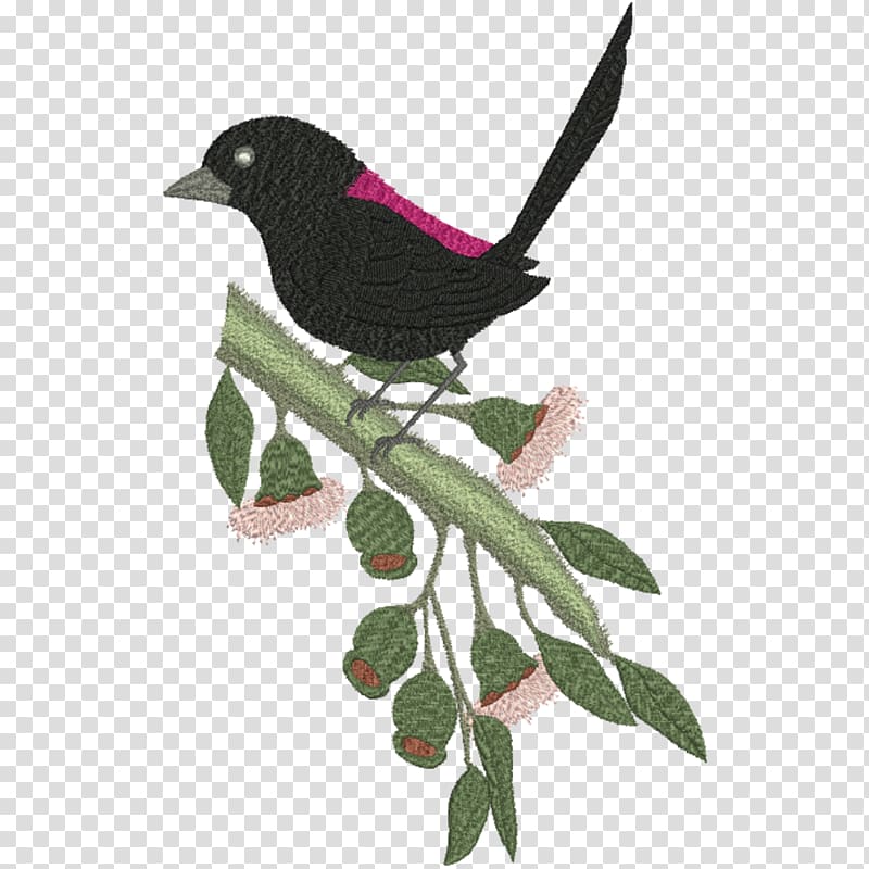 Finches Red-backed fairywren Rufous fantail Bird, Bird transparent background PNG clipart