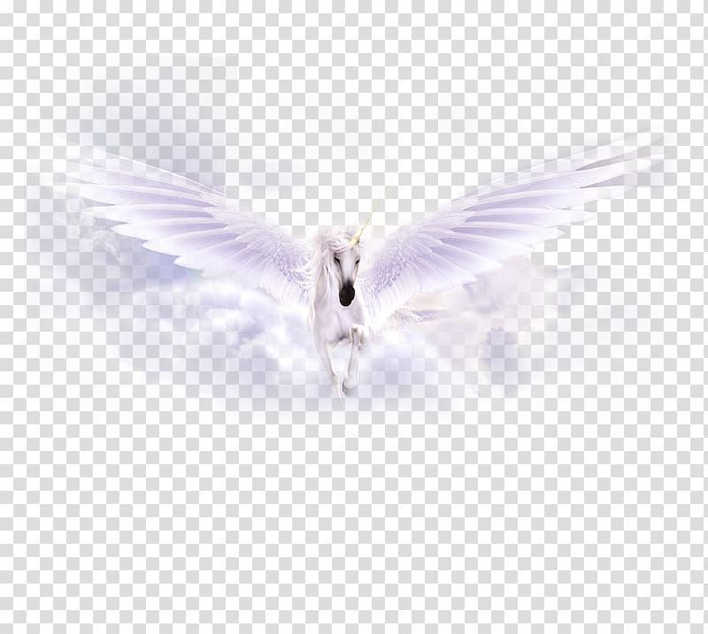 Purple Sky Beak , White Pegasus material transparent background PNG clipart