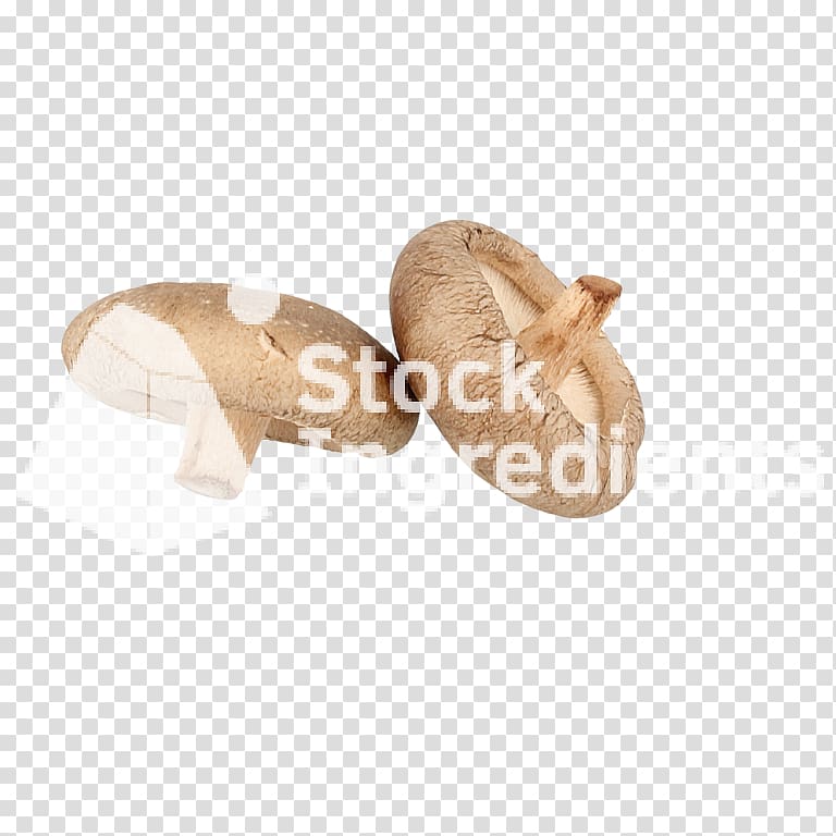 Shoe, double twelve transparent background PNG clipart