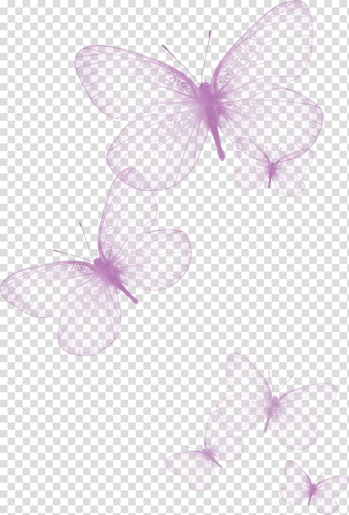 pink butterflies , Butterfly Greta oto , Creative beautiful butterfly transparent background PNG clipart