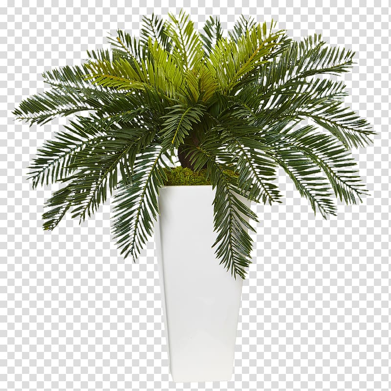 Flowerpot Houseplant Sago palm Leaf, plant transparent background PNG clipart