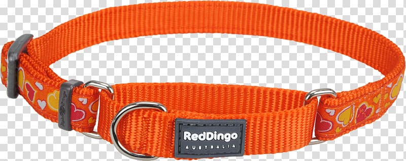 Dog collar Martingale Dingo, red collar dog transparent background PNG clipart