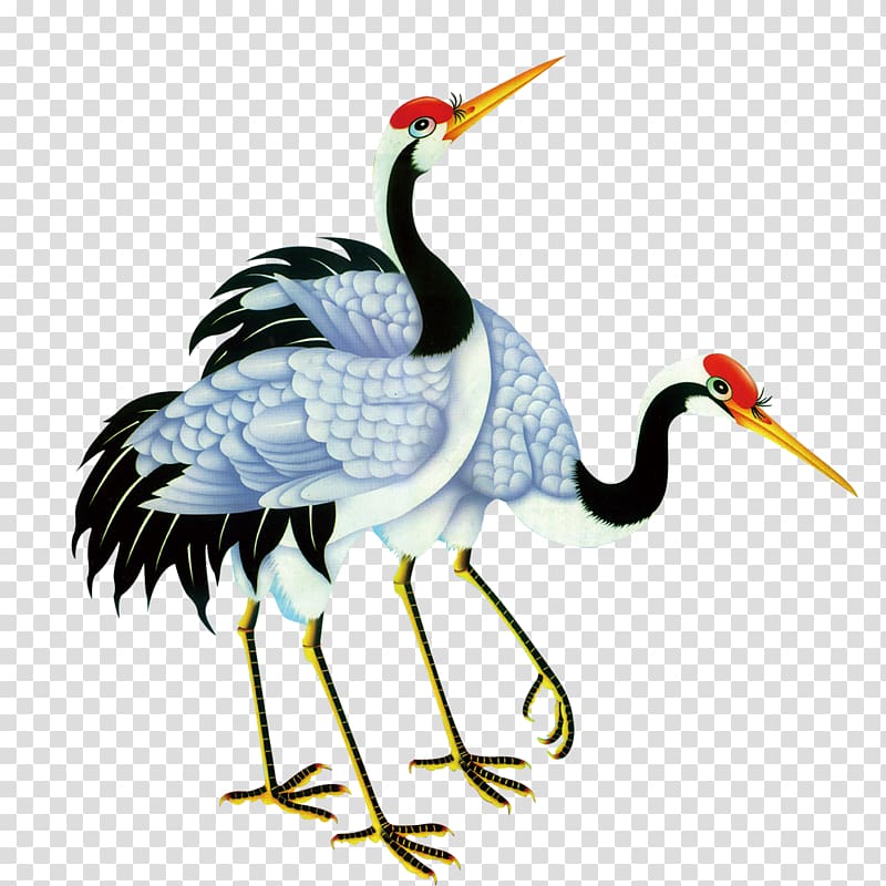 red-crowned crane transparent background PNG clipart