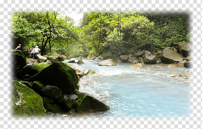 Waterfall Water resources Nature reserve Vegetation Riparian zone, park transparent background PNG clipart