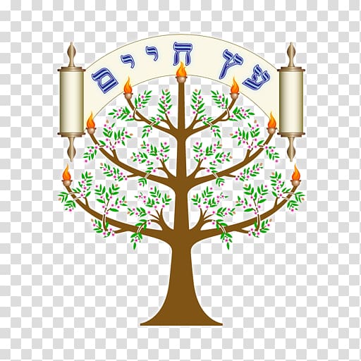 Messianic Judaism Etz Chaim Kingdom of Judah Rabbi, Judaism transparent background PNG clipart