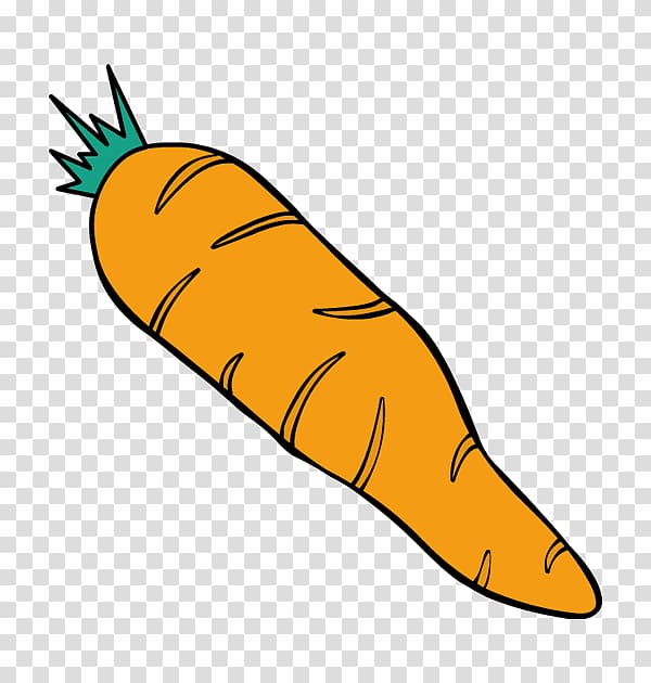 Carrot drawing isolated hand drawn object Vector Image