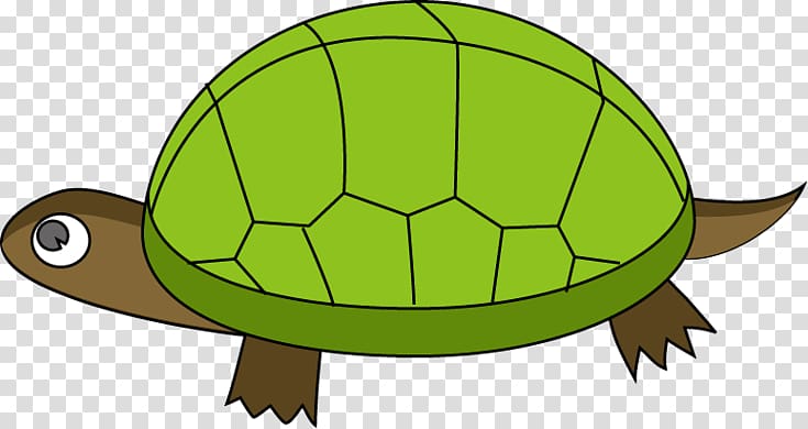Turtle Reptile Tortoise , Slow Dance transparent background PNG clipart