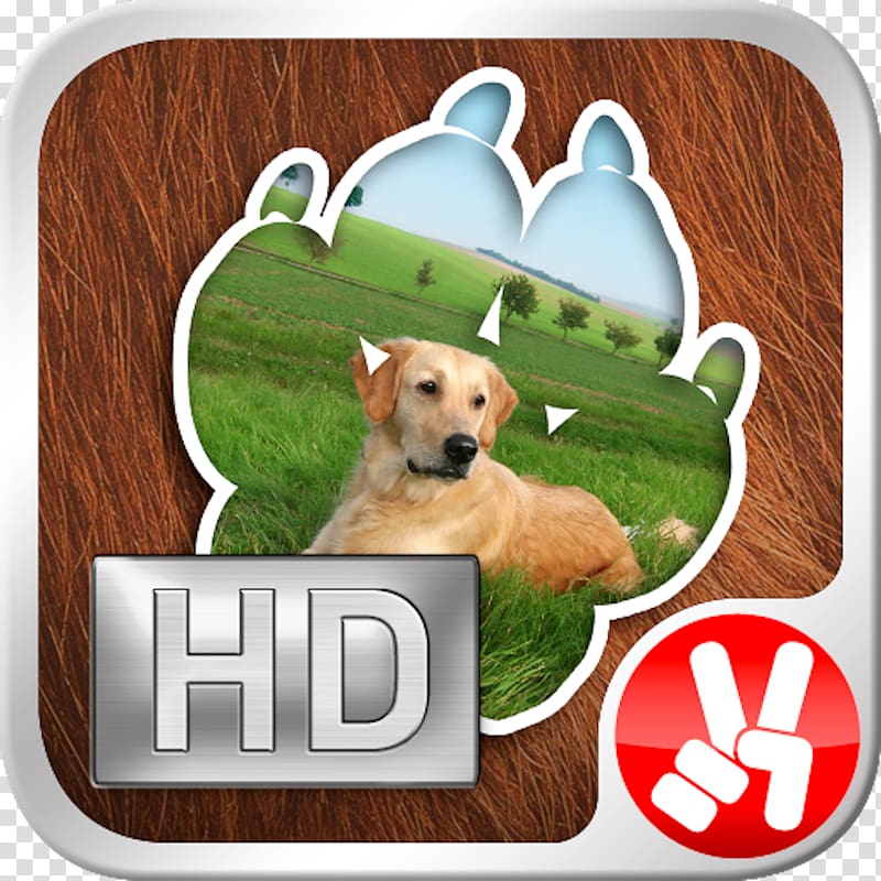 Horse Dog breed Papa Pear Saga App Store Animal, pets transparent background PNG clipart