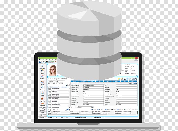 Rediker Software Computer Software Technical Support Information System Administrator, Dike transparent background PNG clipart