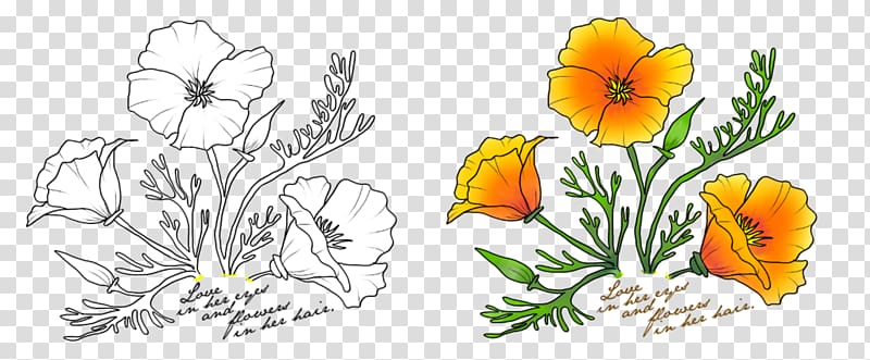 Floral design California poppy Watercolor painting Drawing, poppies drawing transparent background PNG clipart