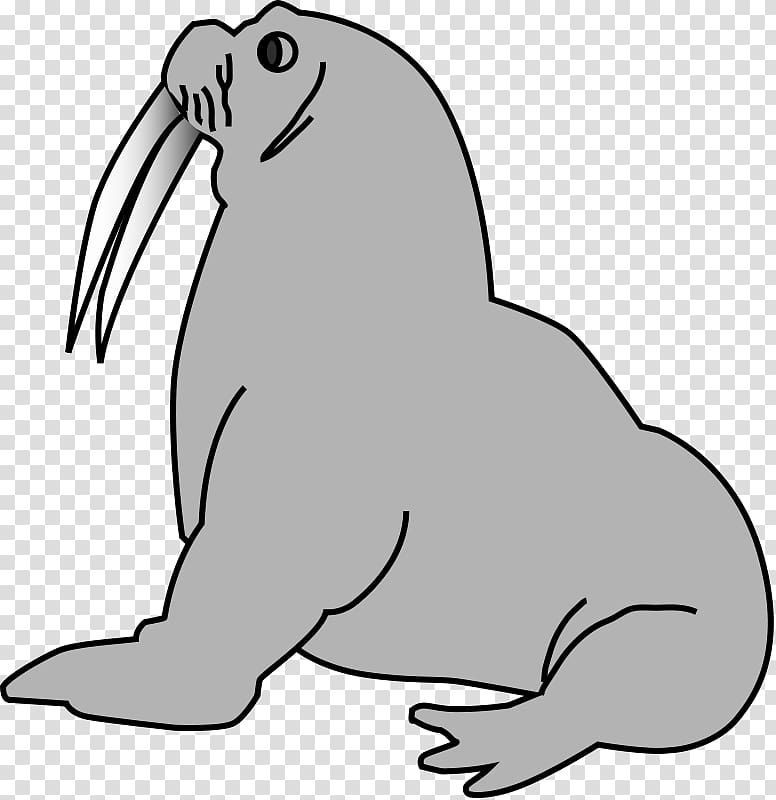 Pinniped Free , Walrus transparent background PNG clipart