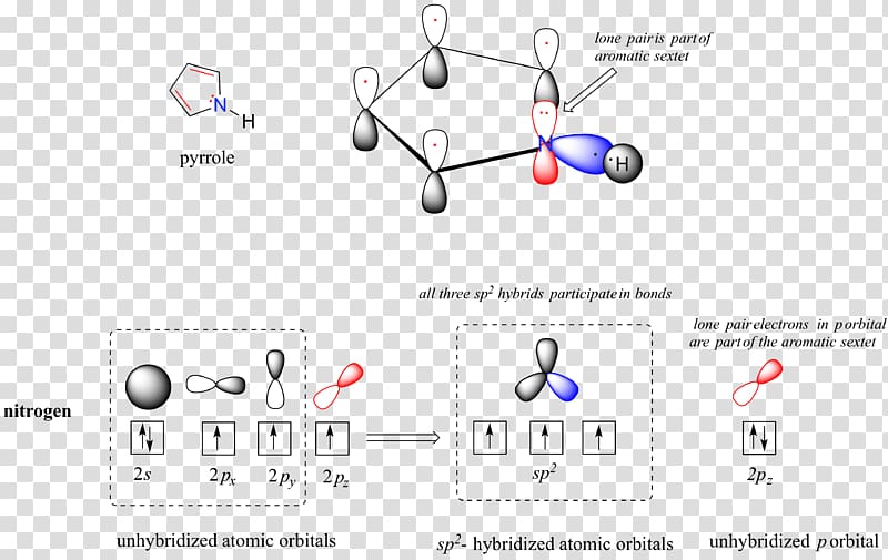 Lewis structure Atomic orbital Molecular orbital diagram Orbital hybridisation, molecular chain transparent background PNG clipart