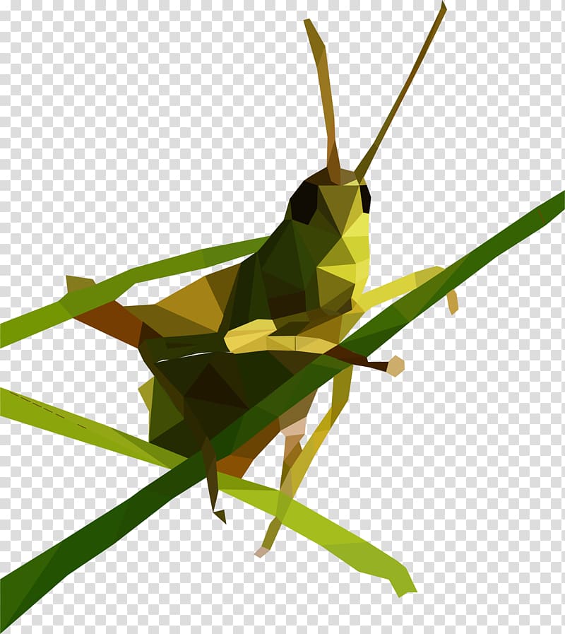 Grasshopper Low poly , grasshopper transparent background PNG clipart