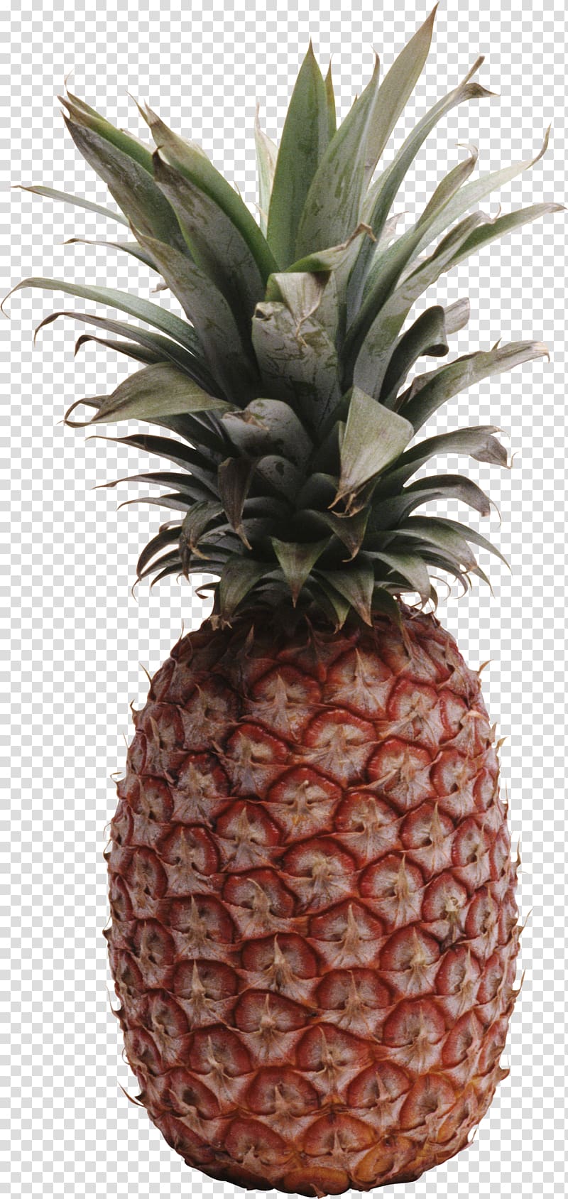 Pineapple transparent background PNG clipart