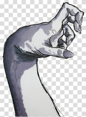 Horse Finger Human leg Drawing, horse transparent background PNG clipart thumbnail