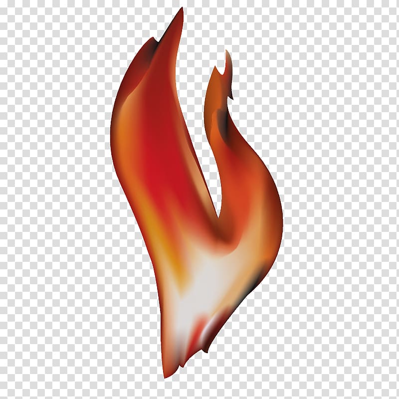 Fire Flame , Fire Fighting transparent background PNG clipart