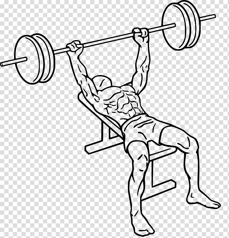 Bench press Fly Barbell Smith machine, bench transparent background PNG clipart