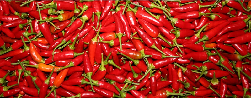 Kashmiri cuisine Chili pepper Capsicum Spice Agriculture, pepper transparent background PNG clipart