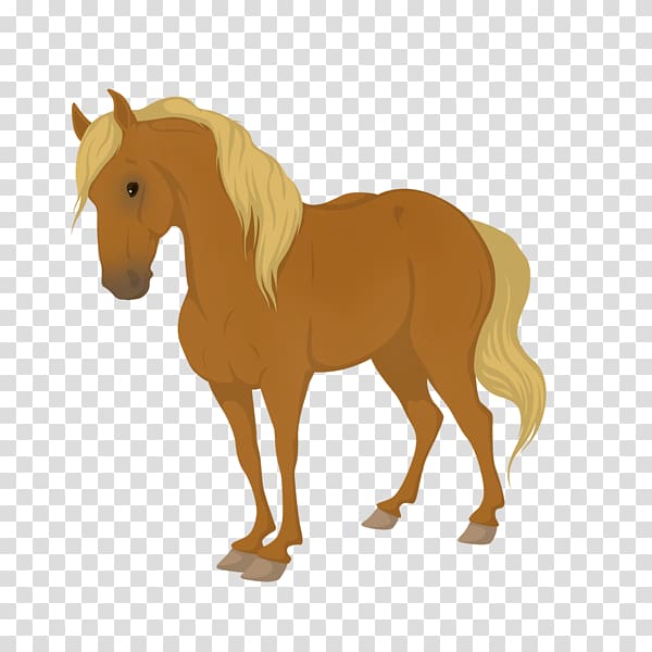 Mane Mustang Equine coat color Foal Pony, mustang transparent background PNG clipart