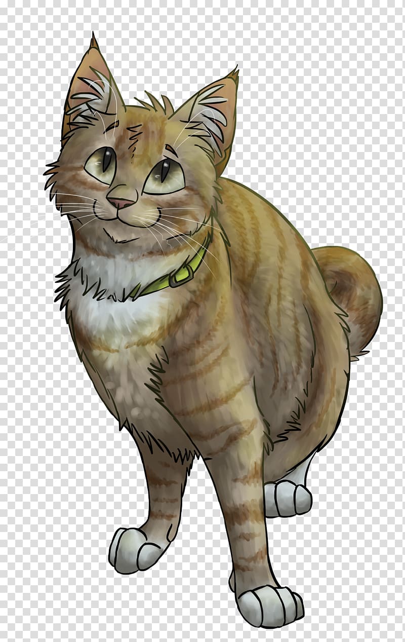 Tabby cat Wildcat Kitten Drawing, cat claw transparent background PNG clipart
