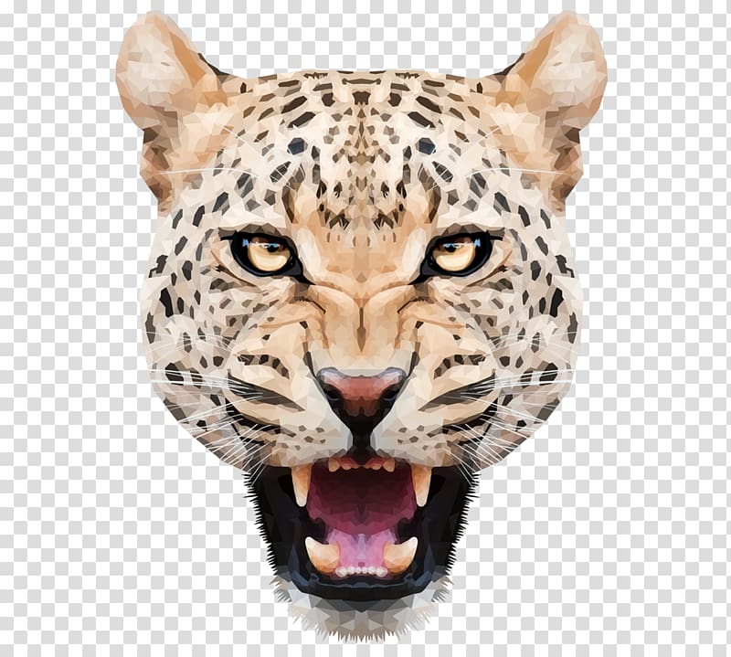 Snow leopard, cheetah transparent background PNG clipart