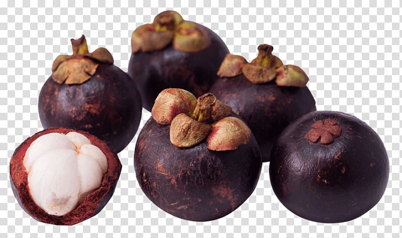 Purple mangosteen Portable Network Graphics Fruit Durian Thai cuisine, mangosteen transparent background PNG clipart