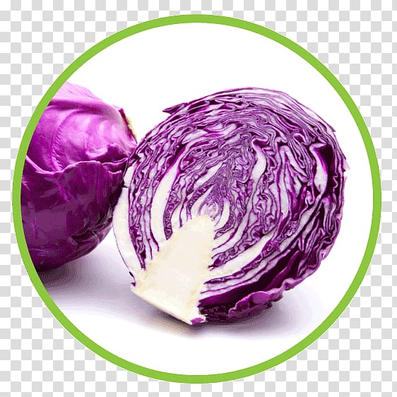 Red cabbage Cauliflower Capitata Group Brussels sprout Chou, cauliflower transparent background PNG clipart
