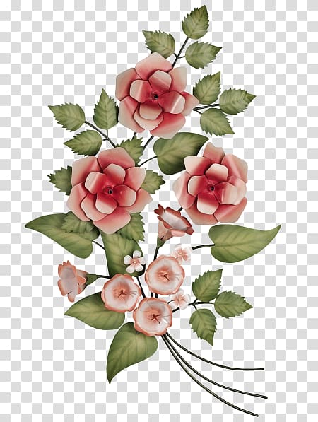 Garden roses Centifolia roses Cut flowers Floral design, flower transparent background PNG clipart