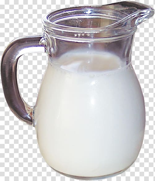 Almond milk Chocolate milk Cattle Kombucha, benefits of raw garlic transparent background PNG clipart
