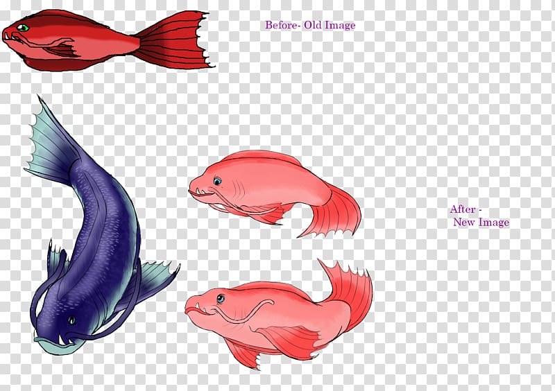 Marine mammal Pink M Fish, benthic animals transparent background PNG clipart